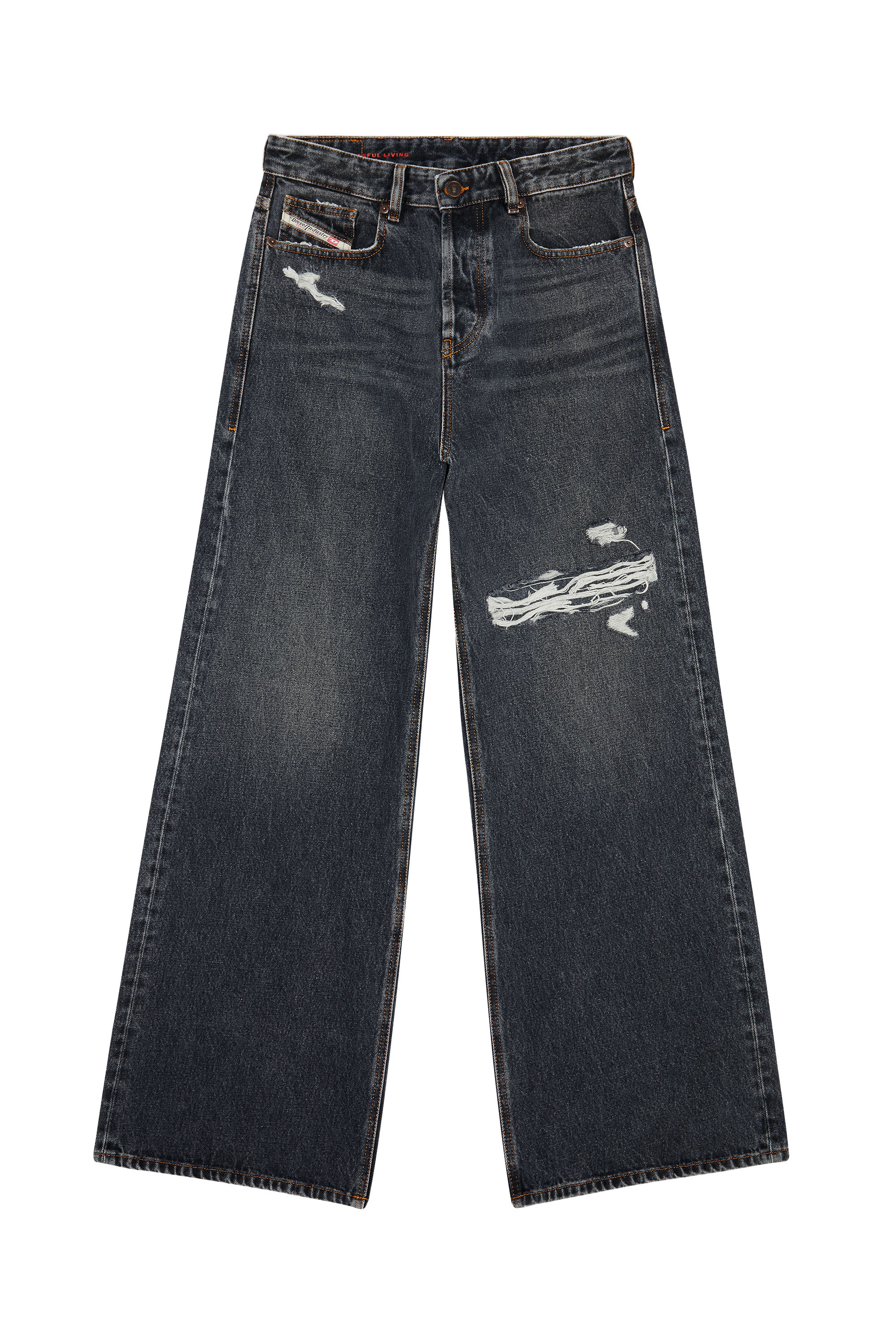 Diesel - Relaxed Jeans 1996 D-Sire 007F6 Unisex, Nero/Grigio scuro - Image 3