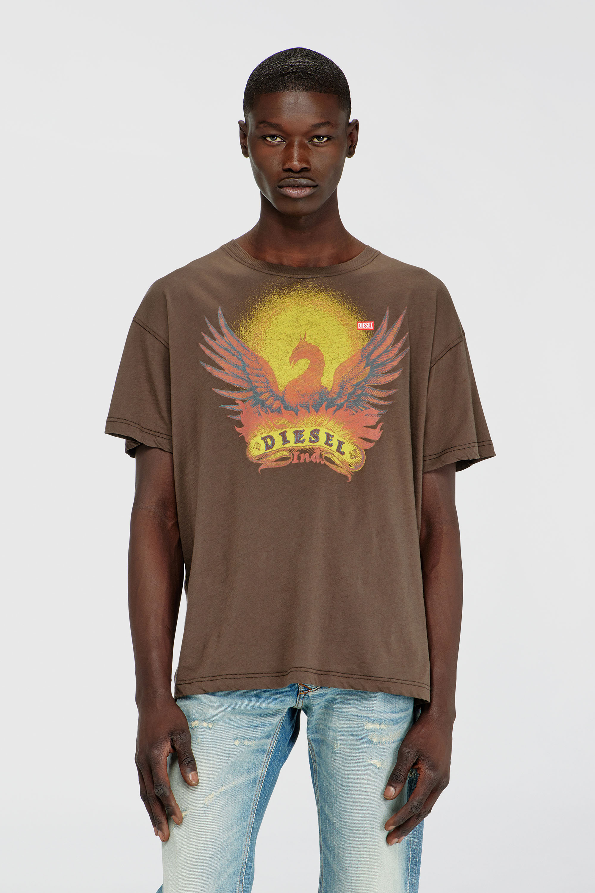 Diesel - T-NORM-AA1, T-shirt regular con stampa Phoenix Uomo in Marrone - 1