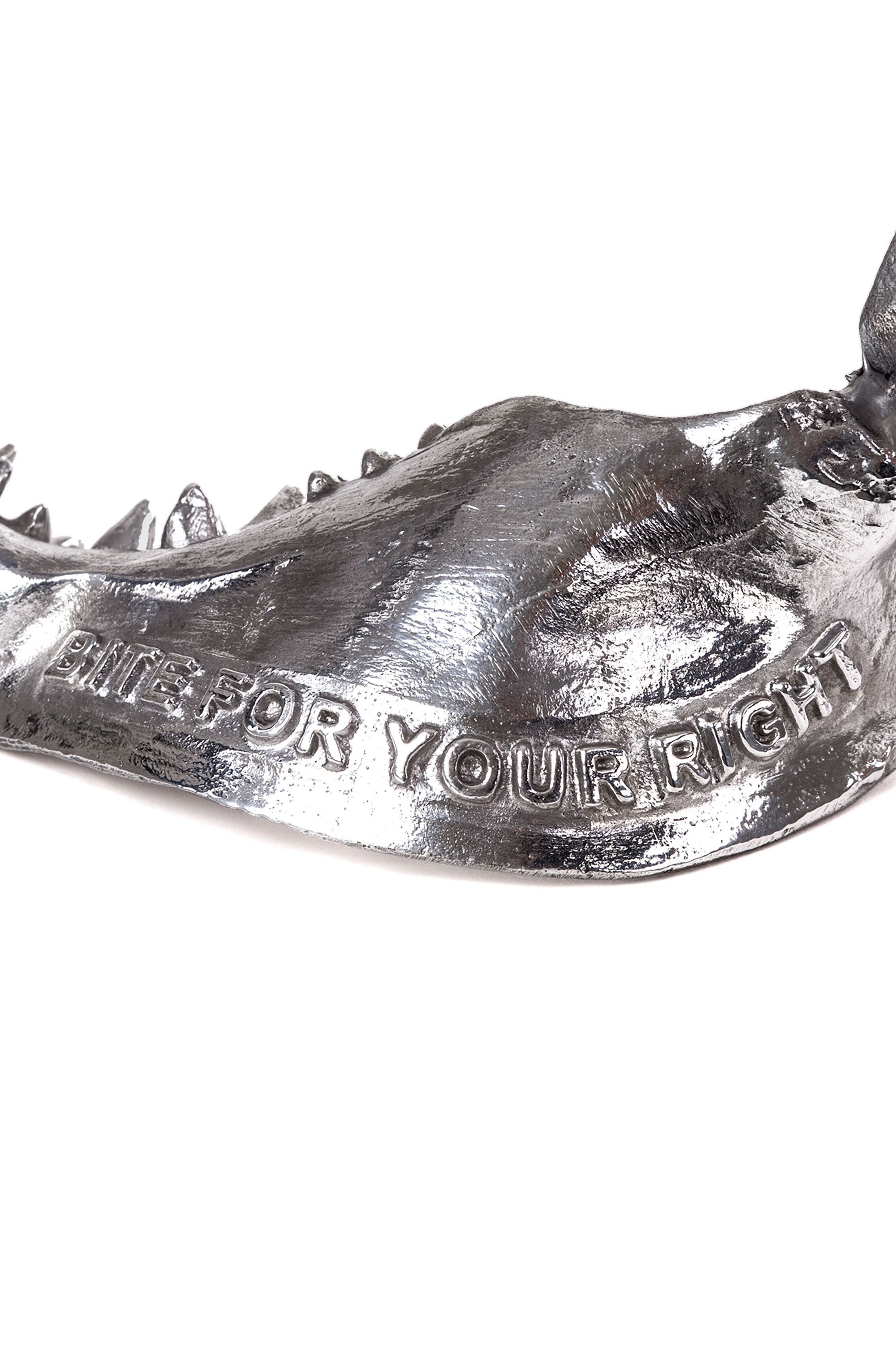Diesel - 10896 WUNDERKAMMER, "Bite For Your Right" Wunderkammer Shark Jaw Unisex in Argento - 3