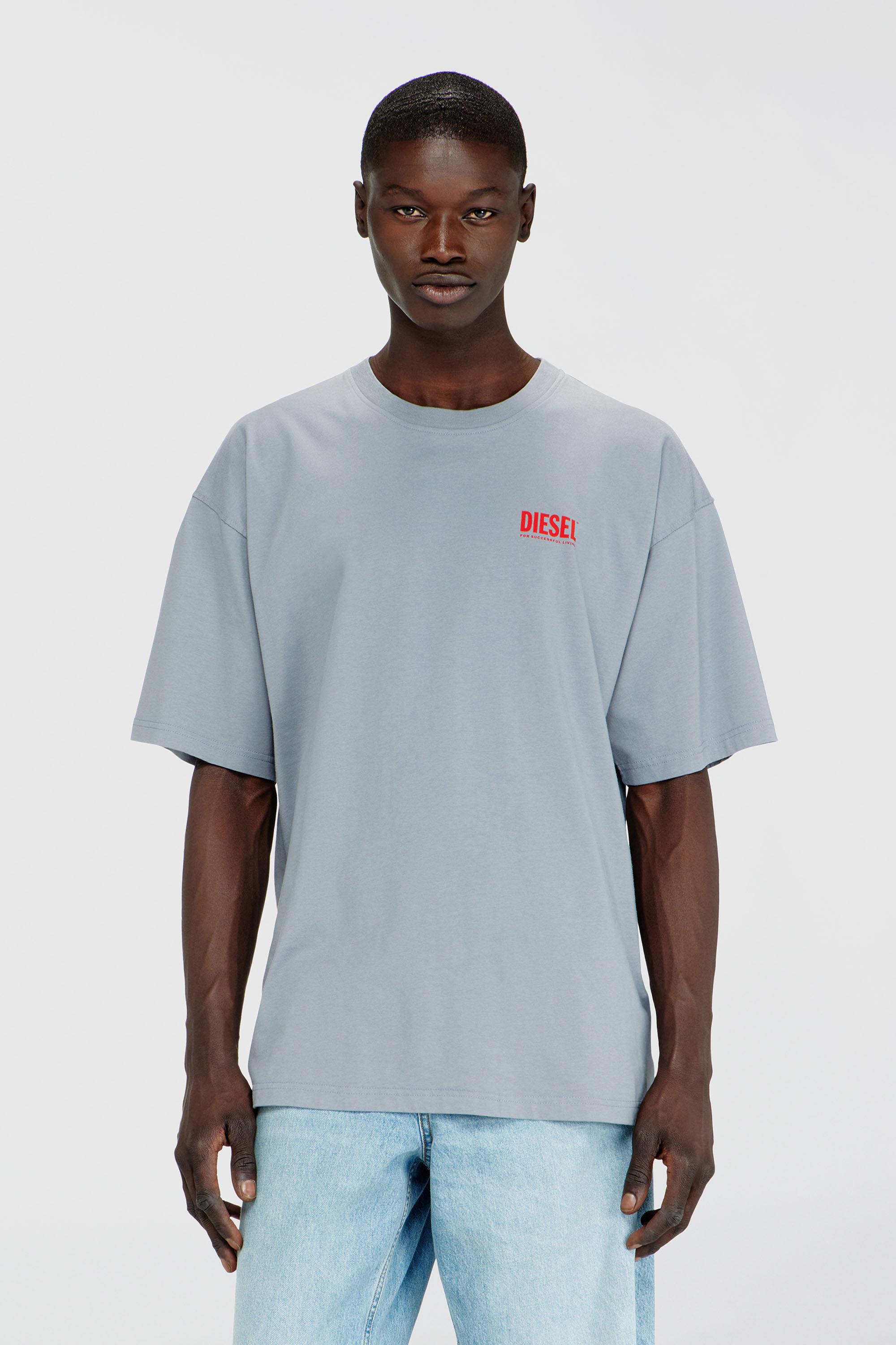 Diesel - T-BOXT-BISK, T-shirt in cotone con stampa Diesel Biscotto Uomo in Grigio - 1