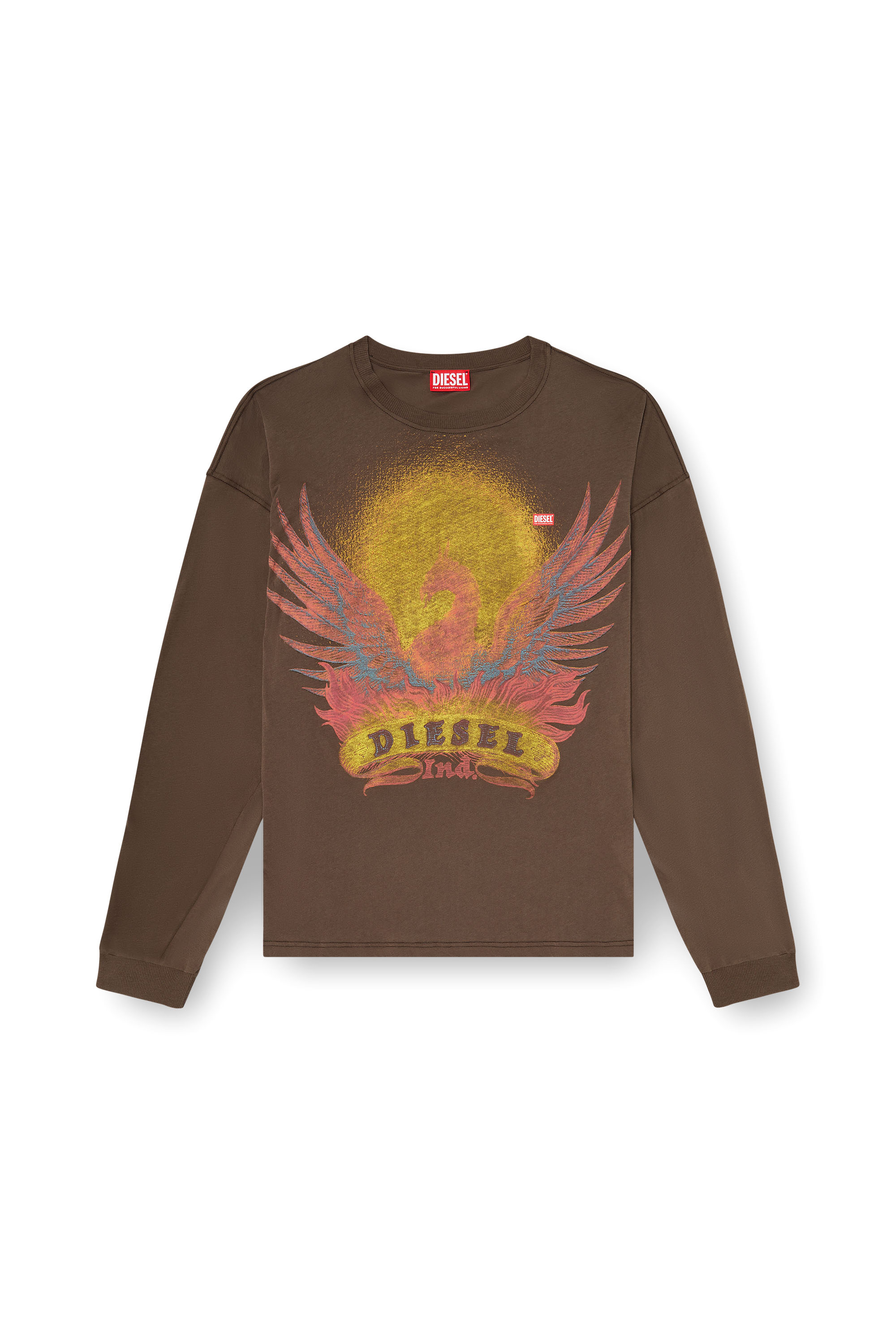 Diesel - T-BOXT-LS-AA1, T-shirt a manica lunga con grafica Phoenix Uomo in Marrone - 2