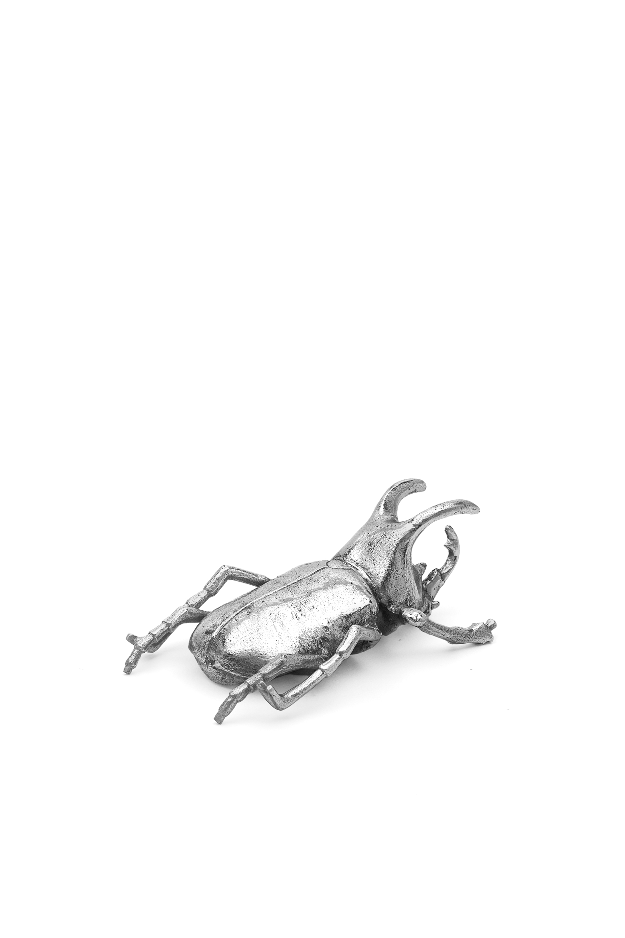 Diesel - 10887 WUNDERKAMMER, Wunderkammer "Bug out" Unisex in Argento - 1