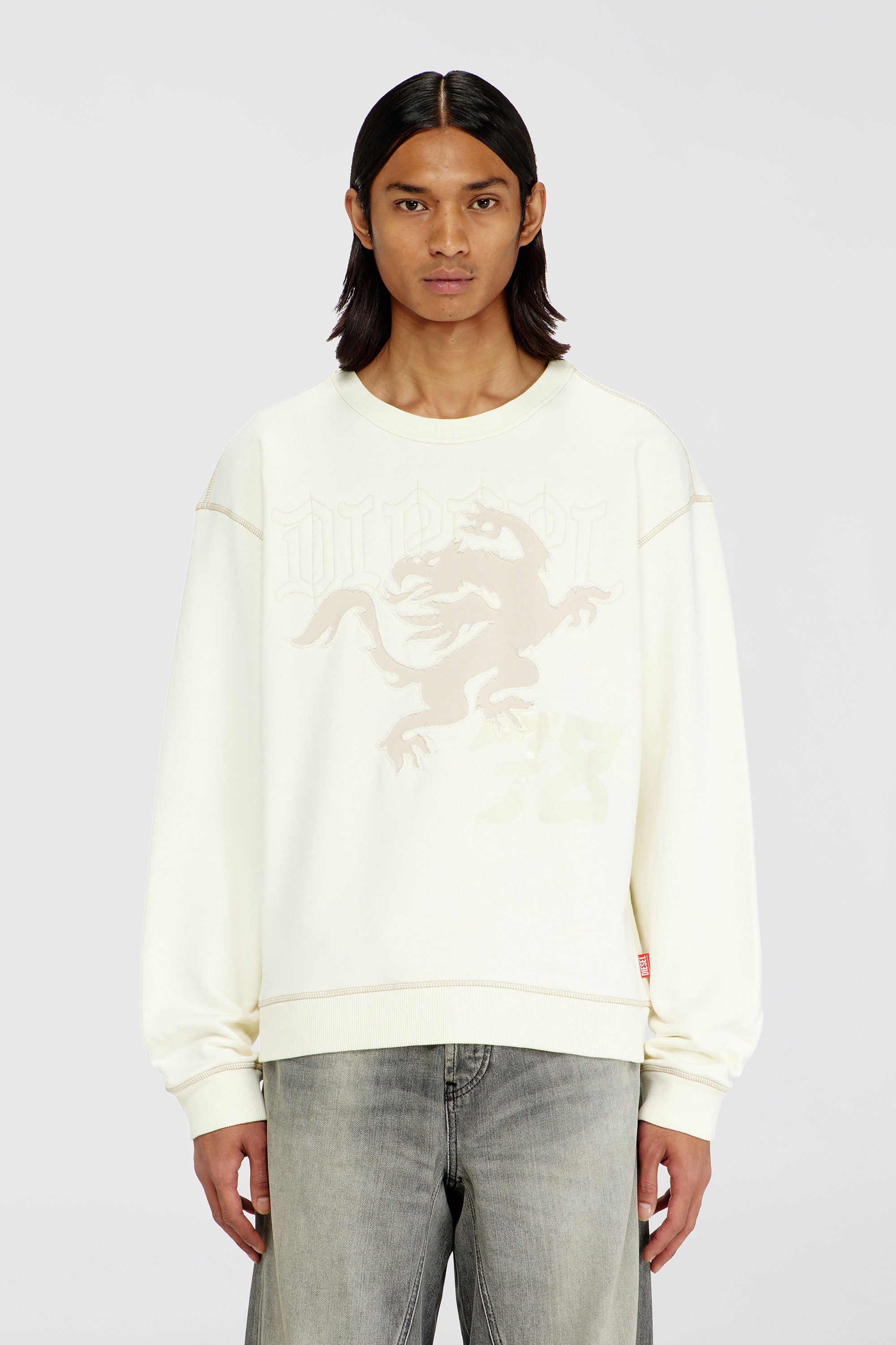 Diesel - S-NORM-AA3, Felpa con ricamo e stampa Uomo in Bianco - 1