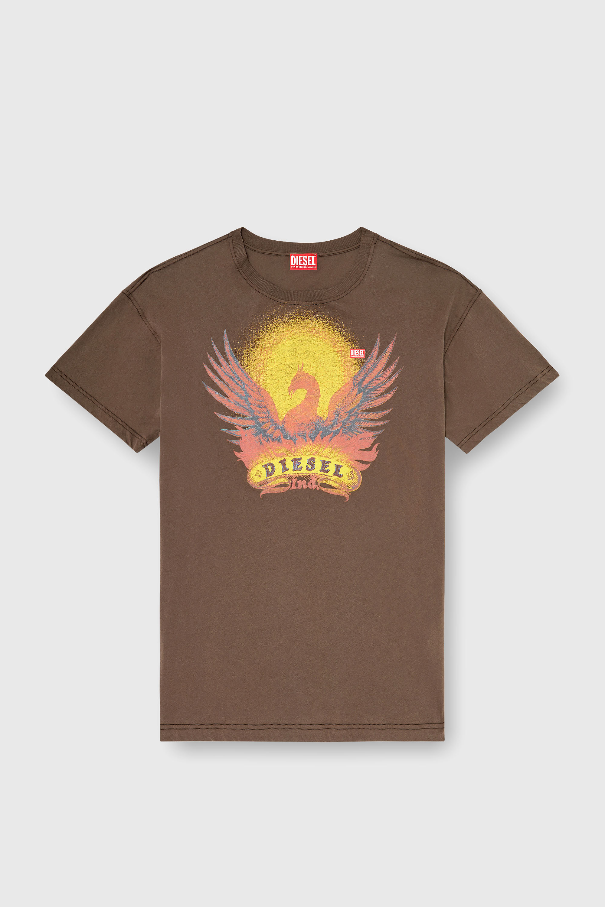 Diesel - T-NORM-AA1, T-shirt regular con stampa Phoenix Uomo in Marrone - 2