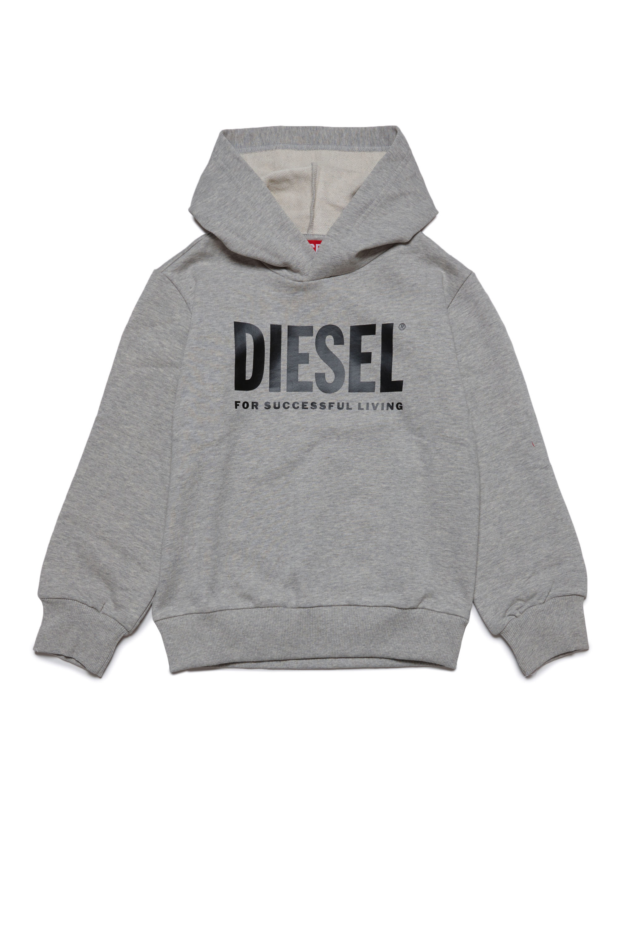 Diesel - LSFORT DI OVER HOOD, Grigio - Image 1