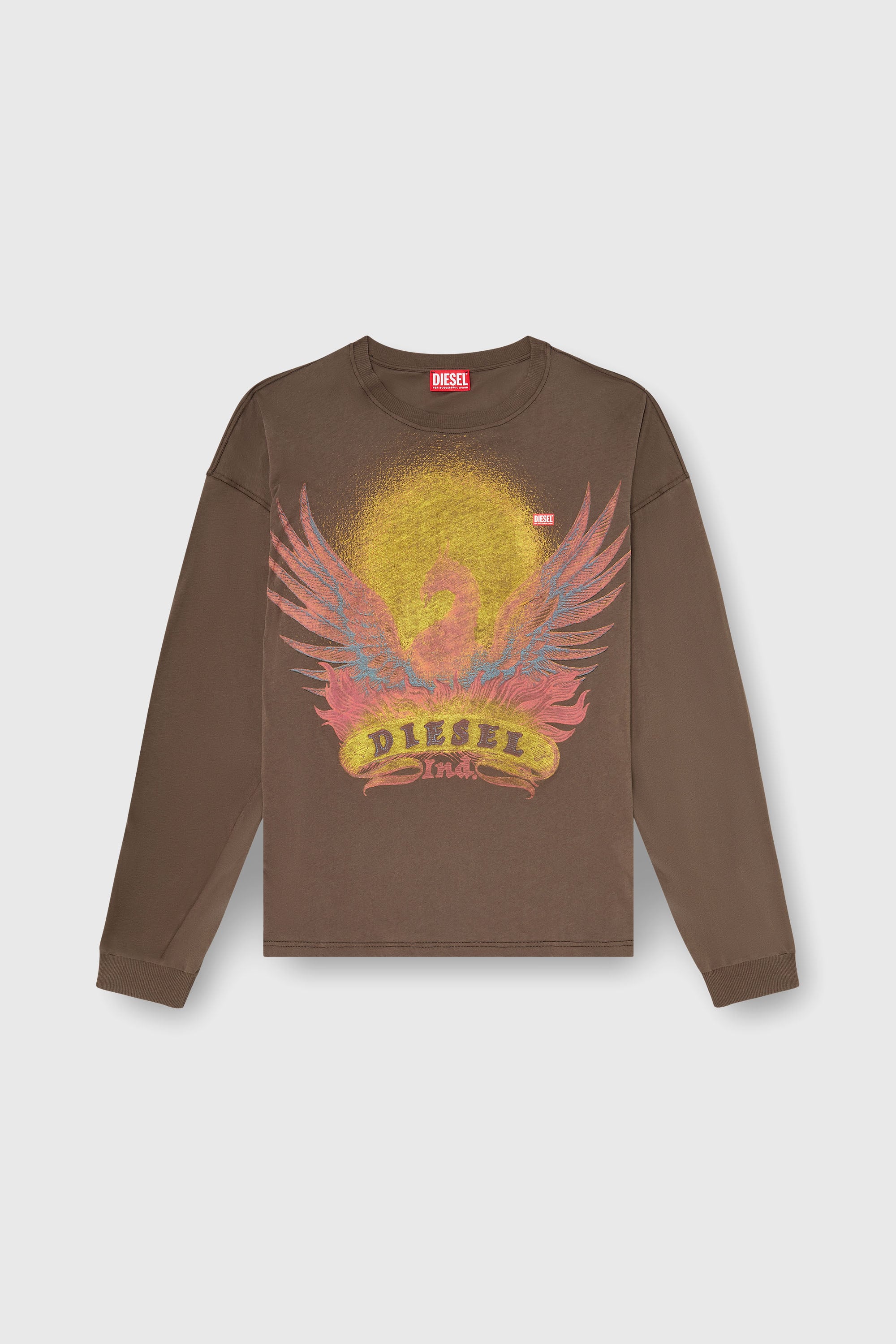 Diesel - T-BOXT-LS-AA1, T-shirt a manica lunga con grafica Phoenix Uomo in Marrone - 2