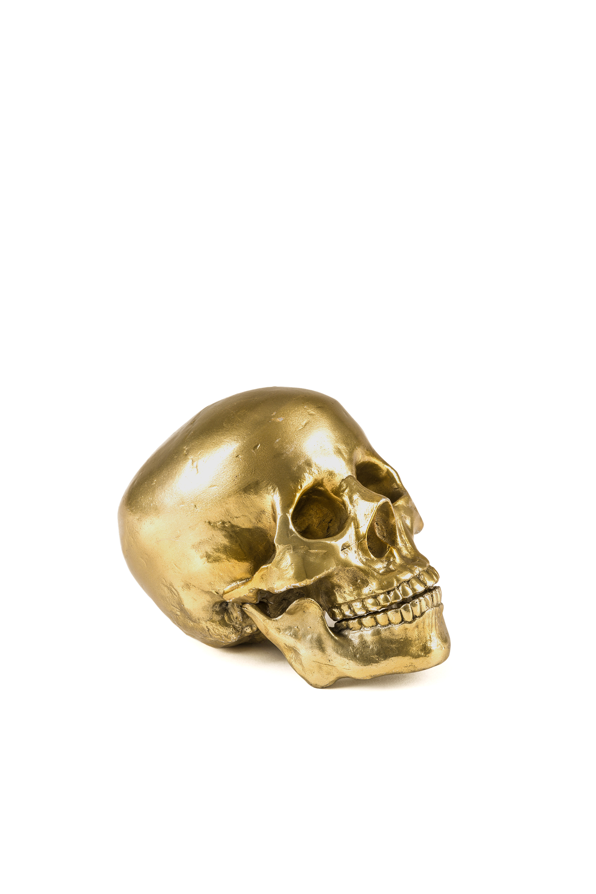 Diesel - 10891 Wunderkammer, "Culture Skullture" Wunderkammer Human Skull Unisex in Oro - 1